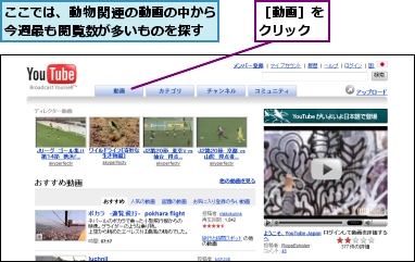 ここでは、動物関連の動画の中から今週最も閲覧数が多いものを探す,［動画］をクリック