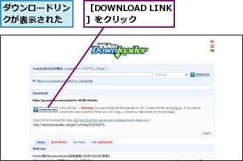 ダウンロードリンクが表示された,［DOWNLOAD LINK］をクリック