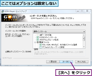 ここではオプションは設定しない,［次へ］をクリック