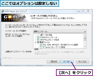 ここではオプションは設定しない,［次へ］をクリック