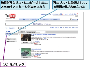 再生リストに登録されている動画の数が表示された,動画が再生リストにコピーされたことを示すメッセージが表示された,［犬］をクリック