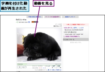 動画を見る,字幕を付けた動画が再生された