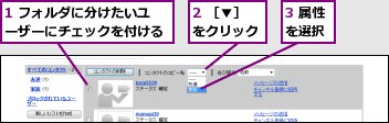 1 フォルダに分けたいユーザーにチェックを付ける,2 ［▼］をクリック,3 属性を選択