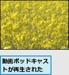 動画ポッドキャストが再生された