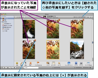 再び非表示にしたいときは［隠された○枚の写真を隠す］をクリックする,非表示になっていた写真が表示されたことを確認,非表示に設定されている写真の右上には［×］が表示される