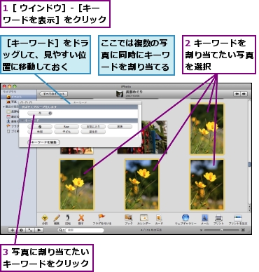 1［ ウインドウ］-［キーワードを表示］をクリック,2 キーワードを割り当てたい写真を選択,3 写真に割り当てたいキーワードをクリック,ここでは複数の写真に同時にキーワードを割り当てる,［キーワード］をドラッグして、見やすい位置に移動しておく