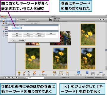 写真にキーワードを割り当てられた,割り当てたキーワードが青く表示されていることを確認,手順1を参考にそのほかの写真にもキーワードを割り当てておく,［×］をクリックして［キーワード］を閉じておく