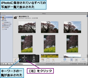 iPhotoに保存されているすべての写真が一覧で表示された,キーワードの一覧が表示された,［花］をクリック