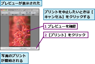 1 プレビューを確認,2［プリント］をクリック,プリントを中止したいときは［キャンセル］をクリックする,プレビューが表示された,写真のプリントが開始される