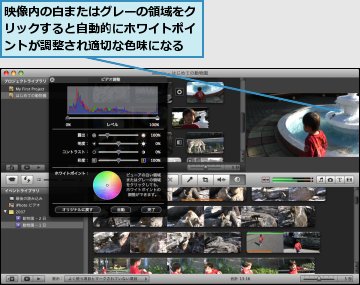 映像内の白またはグレーの領域をクリックすると自動的にホワイトポイントが調整され適切な色味になる