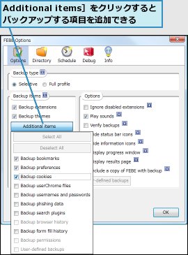 Additional items］をクリックするとバックアップする項目を追加できる
