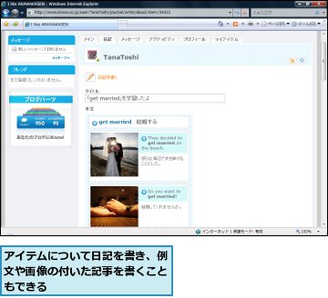 アイテムについて日記を書き、例文や画像の付いた記事を書くこともできる