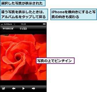 iPhoneを横向きにすると写真の向きも変わる,写真の上でピンチイン,違う写真を表示したときは、アルバム名をタップして戻る,選択した写真が表示された