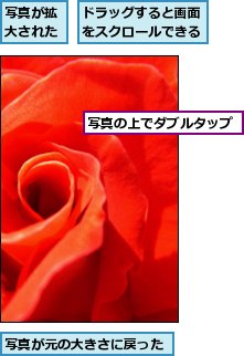 ドラッグすると画面をスクロールできる,写真が元の大きさに戻った,写真が拡大された,写真の上でダブルタップ