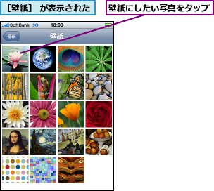 壁紙にしたい写真をタップ,［壁紙］ が表示された