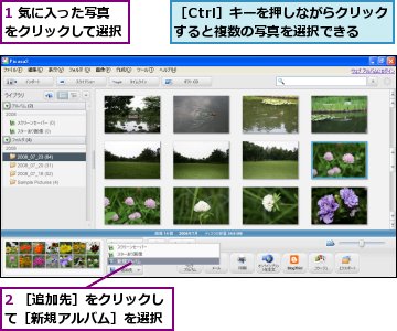 1 気に入った写真をクリックして選択,2 ［追加先］をクリックして［新規アルバム］を選択,［Ctrl］キーを押しながらクリックすると複数の写真を選択できる