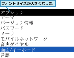 フォントサイズが大きくなった
