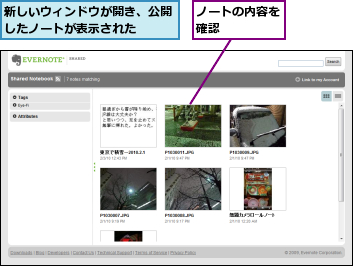 ノートの内容を確認     ,新しいウィンドウが開き、公開したノートが表示された  