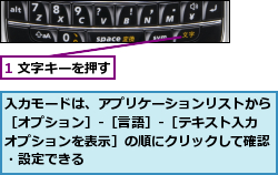 1 文字キーを押す,入力モードは、アプリケーションリストから［オプション］-［言語］-［テキスト入力オプションを表示］の順にクリックして確認・設定できる