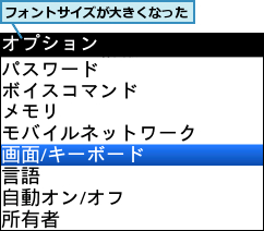 フォントサイズが大きくなった