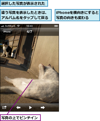 iPhoneを横向きにすると写真の向きも変わる,写真の上でピンチイン,違う写真を表示したときは、アルバム名をタップして戻る,選択した写真が表示された