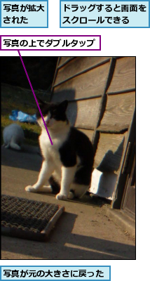 ドラッグすると画面をスクロールできる  ,写真が元の大きさに戻った,写真が拡大された  ,写真の上でダブルタップ