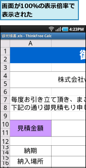 画面が100％の表示倍率で表示された　　　　　　