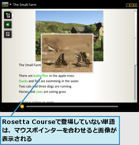 Rosetta Courseで登場していない単語　は、マウスポインターを合わせると画像が表示される　　　