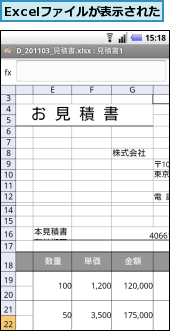 Excelファイルが表示された