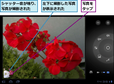 シャッター音が鳴り、写真が撮影された,写真をタップ,左下に撮影した写真が表示された　　　