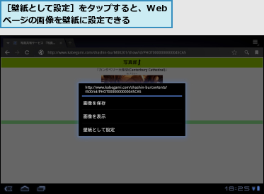 ［壁紙として設定］をタップすると、Webページの画像を壁紙に設定できる