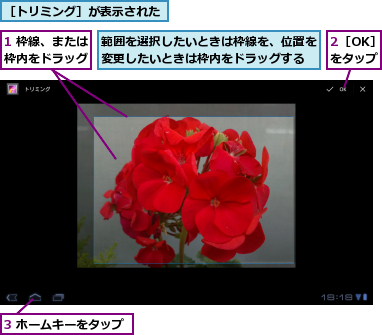 1 枠線、または枠内をドラッグ,2［OK］をタップ,3 ホームキーをタップ,範囲を選択したいときは枠線を、位置を変更したいときは枠内をドラッグする,［トリミング］が表示された