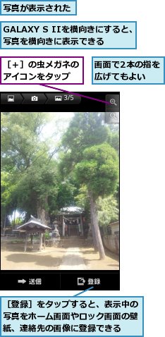 GALAXY S IIを横向きにすると、写真を横向きに表示できる　　　,写真が表示された,画面で2本の指を広げてもよい　　,［登録］をタップすると、表示中の写真をホーム画面やロック画面の壁紙、連絡先の画像に登録できる,［＋］の虫メガネのアイコンをタップ
