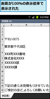 画面が100％の表示倍率で表示された　　　　　　