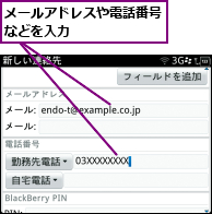 メールアドレスや電話番号などを入力  　　　　