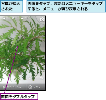 写真が拡大された  ,画面をタップ、またはメニューキーをタップすると、メニューが再び表示される    ,画面をダブルタップ