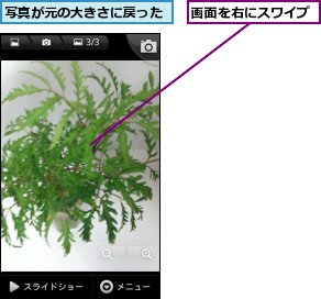 写真が元の大きさに戻った,画面を右にスワイプ
