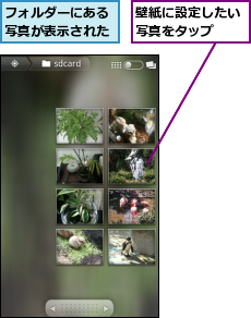 フォルダーにある写真が表示された,壁紙に設定したい写真をタップ  