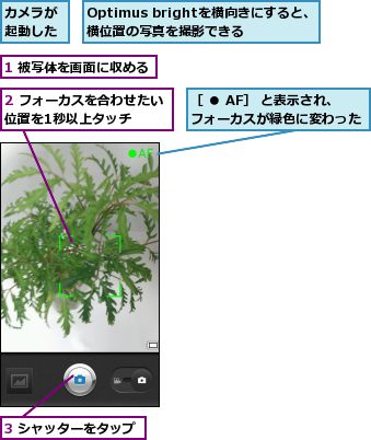 1 被写体を画面に収める,2 フォーカスを合わせたい位置を1秒以上タッチ  ,3 シャッターをタップ,Optimus brightを横向きにすると、横位置の写真を撮影できる,カメラが起動した,［ ● AF］ と表示され、　　　　　　　フォーカスが緑色に変わった        