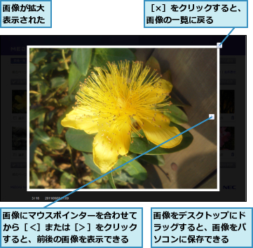 画像が拡大表示された,画像にマウスポインターを合わせてから［＜］または［＞］をクリックすると、前後の画像を表示できる,画像をデスクトップにドラッグすると、画像をパソコンに保存できる,［×］をクリックすると、画像の一覧に戻る　　　