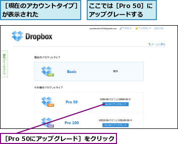 ここでは［Pro 50］にアップグレードする,［Pro 50にアップグレード］をクリック,［現在のアカウントタイプ］が表示された      