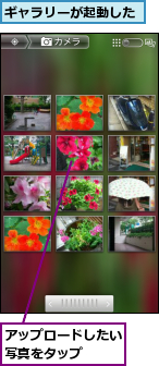 アップロードしたい写真をタップ  ,ギャラリーが起動した