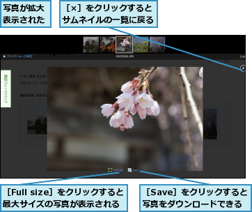 写真が拡大表示された,［Full size］をクリックすると最大サイズの写真が表示される,［Save］をクリックすると写真をダウンロードできる,［×］をクリックするとサムネイルの一覧に戻る