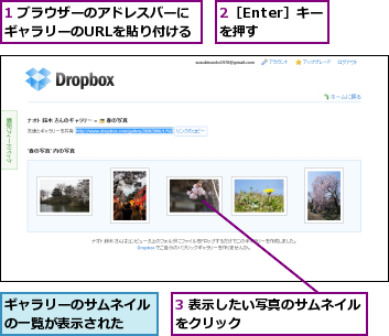 1 ブラウザーのアドレスバーにギャラリーのURLを貼り付ける,2［Enter］キーを押す,3 表示したい写真のサムネイルをクリック          ,ギャラリーのサムネイルの一覧が表示された  