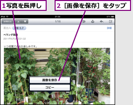 1写真を長押し,2［画像を保存］をタップ