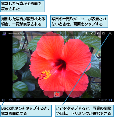 Backボタンをタップすると、撮影画面に戻る    ,ここをタップすると、写真の削除や回転、トリミングが選択できる,写真の一覧やメニューが表示されないときは、画面をタップする,撮影した写真が全画面で表示された      ,撮影した写真が複数枚ある場合、一覧が表示される