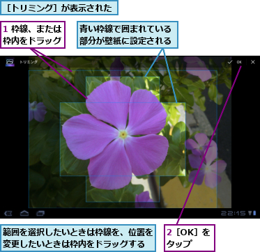 1 枠線、または枠内をドラッグ,2［OK］をタップ,範囲を選択したいときは枠線を、位置を変更したいときは枠内をドラッグする,青い枠線で囲まれている部分が壁紙に設定される,［トリミング］が表示された