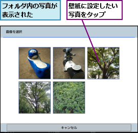 フォルダ内の写真が表示された    ,壁紙に設定したい写真をタップ  