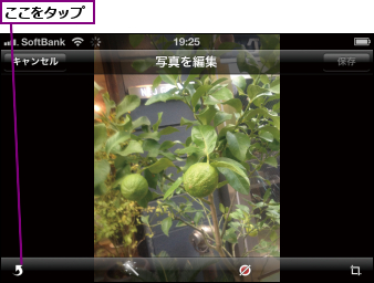 ここをタップ