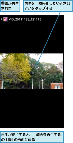再生が終了すると、「動画を再生する」の手順1の画面に戻る　　　　　　　,再生を一時停止したいときはここをタップする　　　　　,動画が再生された　